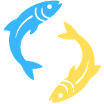 Cá-cơm-than-tươi